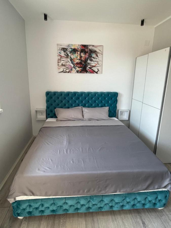 Veliko Gradište Apartmani Borova 2 المظهر الخارجي الصورة